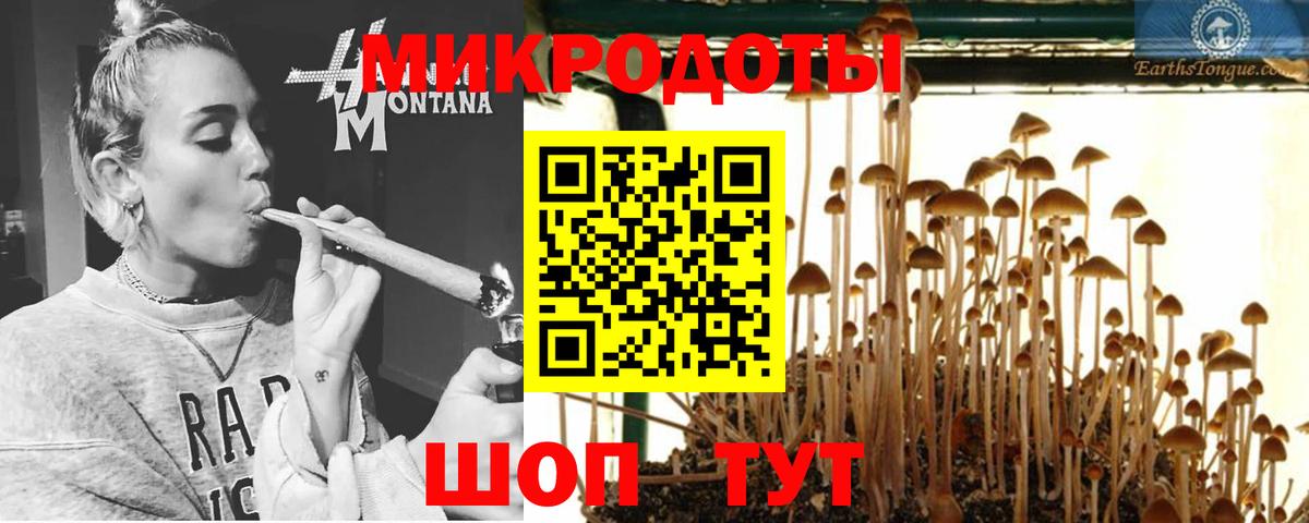 Еманжелинск  Псилоцибиновые грибы ЛСД  Псилоцибиновые грибы мицелий  Вход с VPN 
