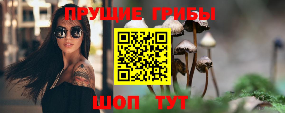 Галлюциногенные грибы Psilocybine cubensis Еманжелинск